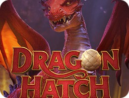 Dragon Hatch